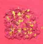 Sable et autre - &copy;sba 21.jpg